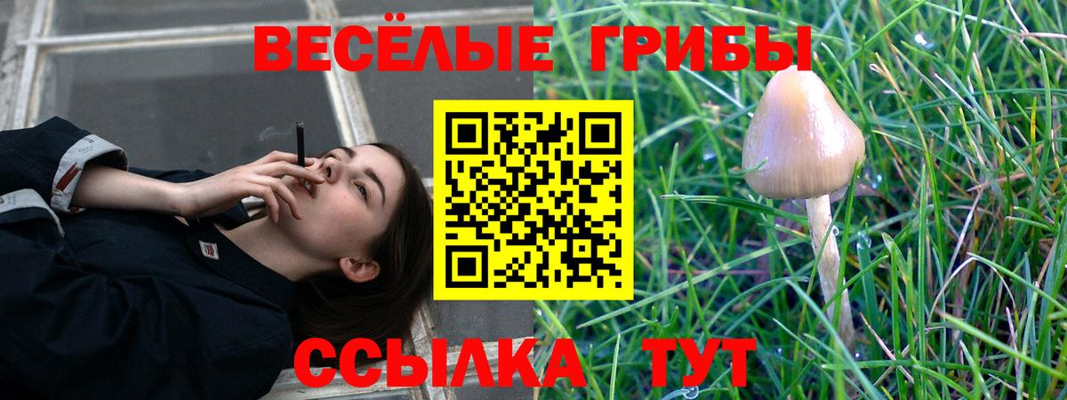 Псилоцибиновые грибы ЛСД  Вход с VPN  Муравленко 