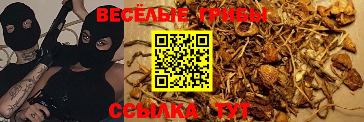 Псилоцибиновые грибы GOLDEN TEACHER Муравленко